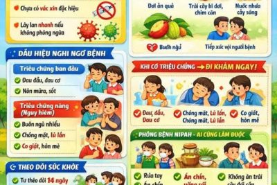Trường Mầm non Hòa Mạc xin kính gửi các bậc cha mẹ trẻ lưu ý phòng chống dịch bệnh do virus Nipah